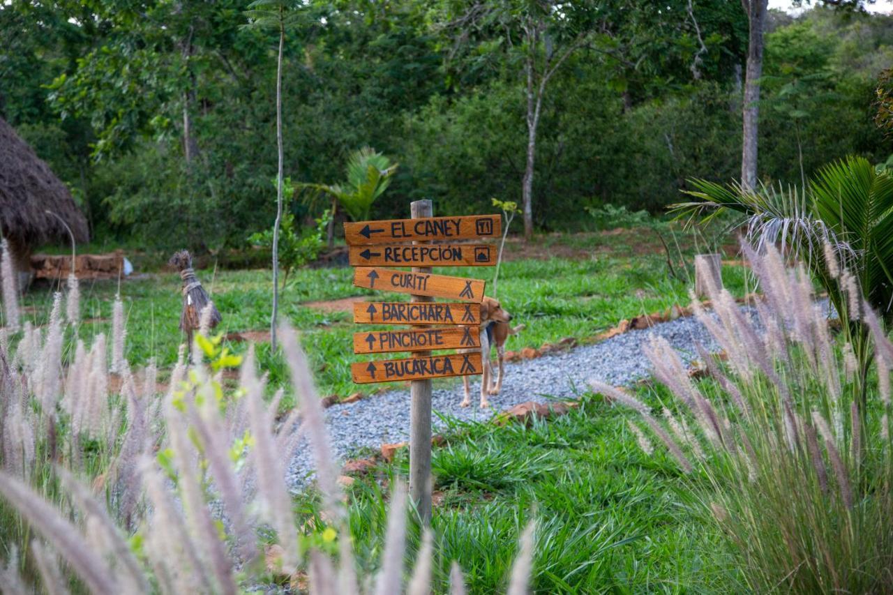 Отель Nativo Glamping Баричара Экстерьер фото