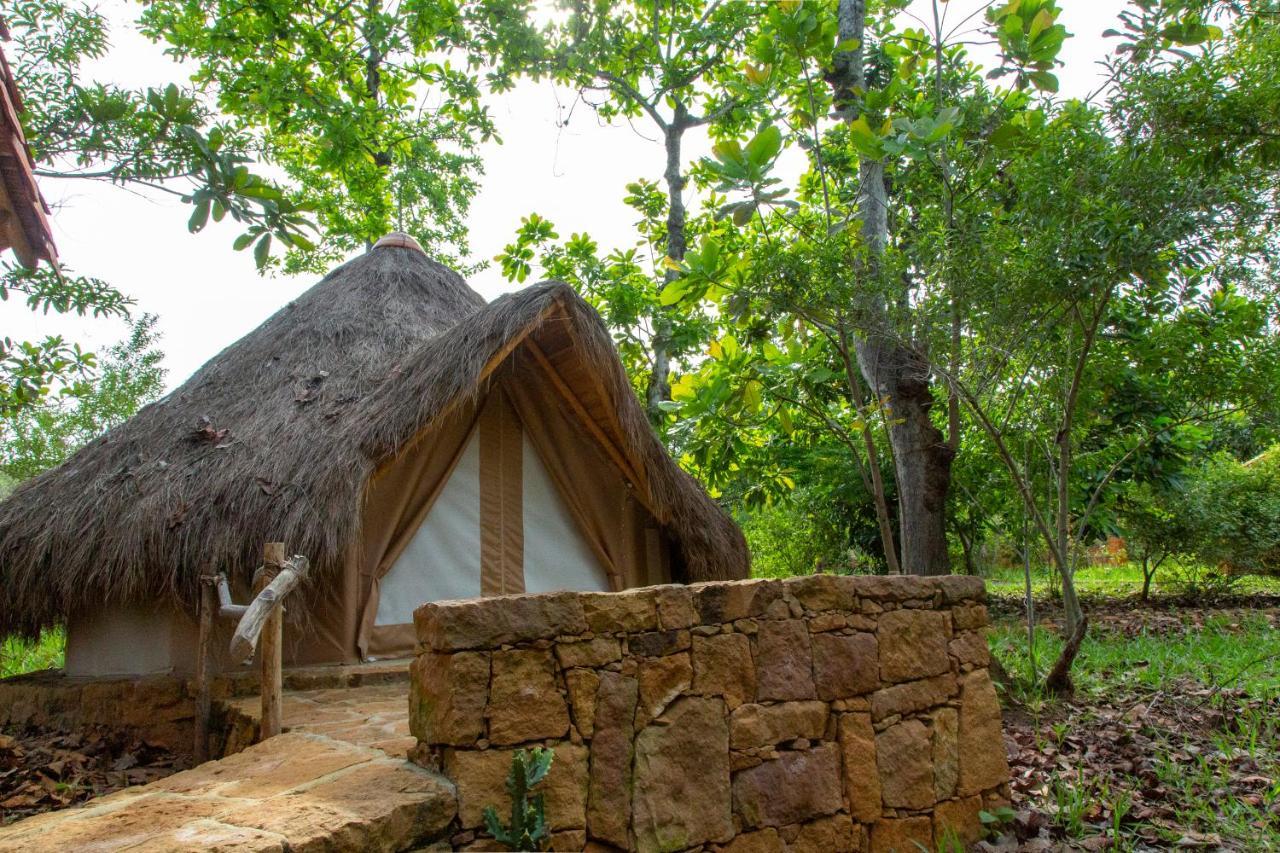 Отель Nativo Glamping Баричара Экстерьер фото
